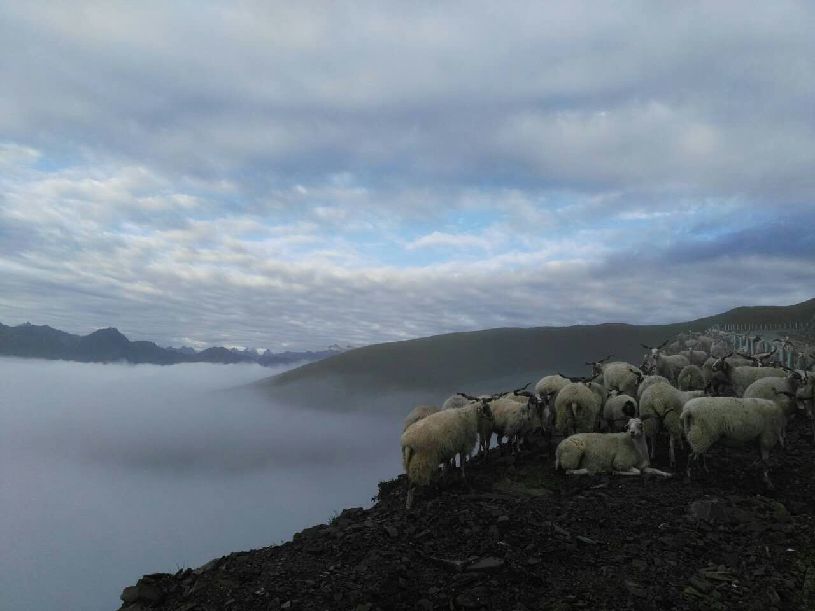 美中国】达瓦更扎看云海AG真人登录入口【大